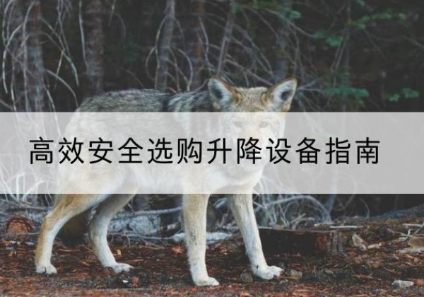 赤水升降货梯厂家推荐-*安全选购升降设备指南