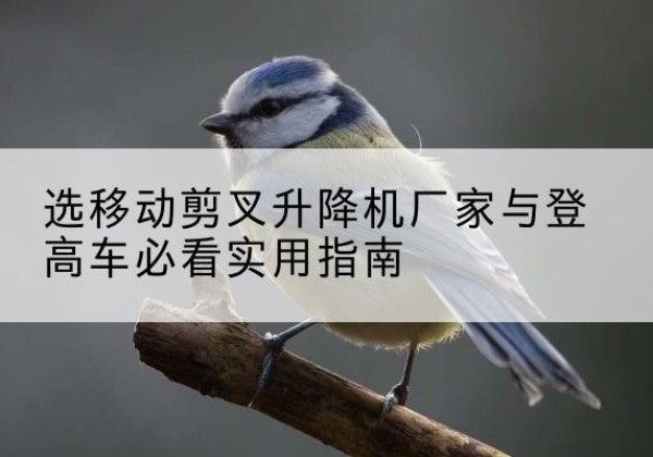 赤水电动升降机厂家-选移动剪叉升降机厂家与登高车必看实用指南