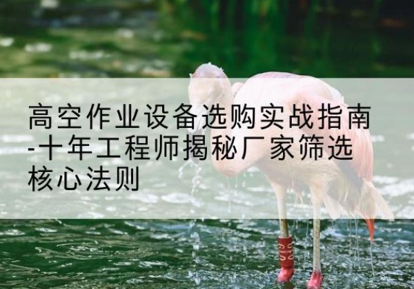 赤水剪叉式升降机厂家-高空作业设备选购实战指南-十年工程师揭秘厂家筛选核心法则